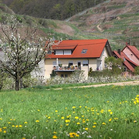 Ferienwohnung Graf Vogtsburg Kültér fotó