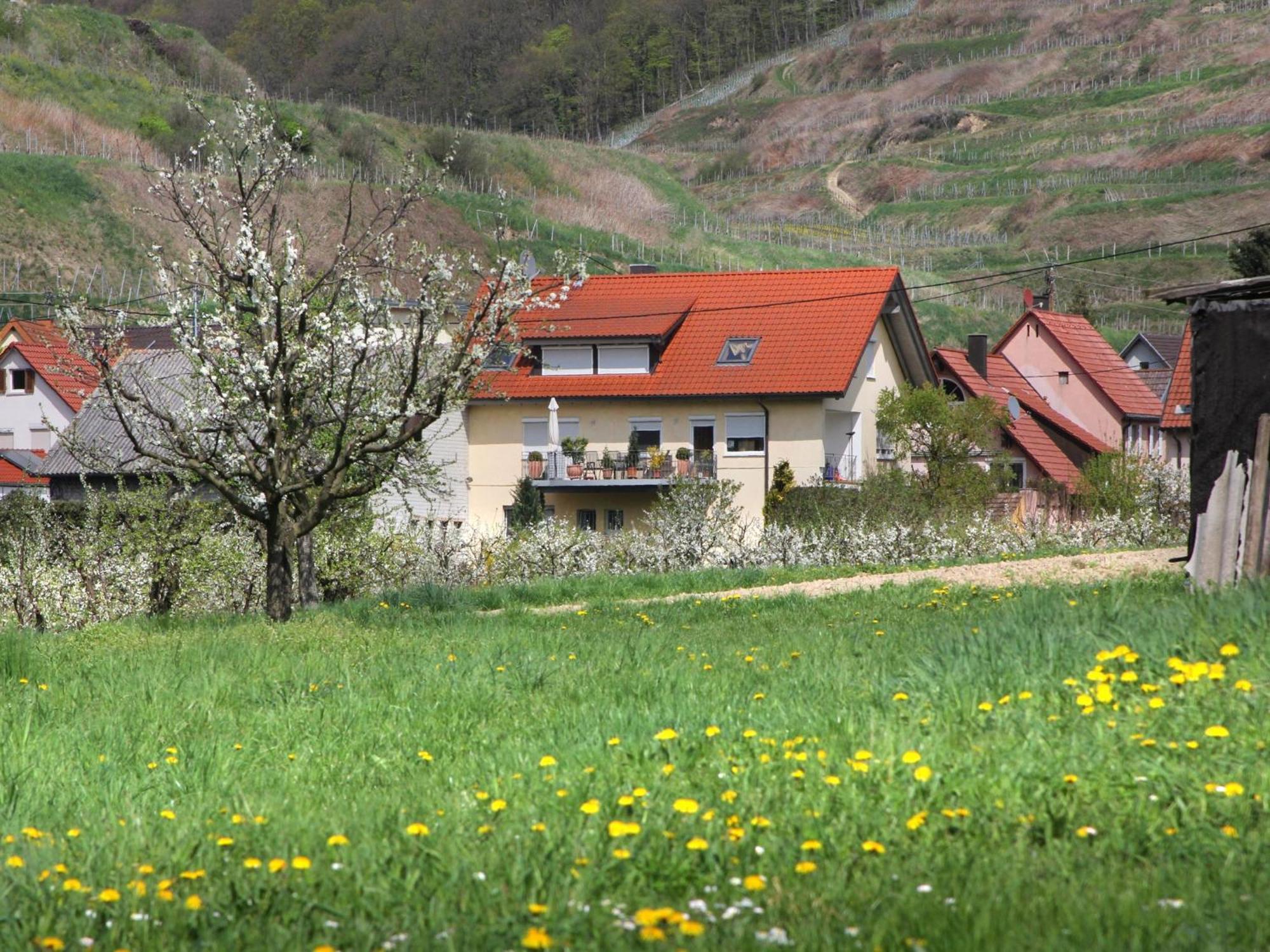 Ferienwohnung Graf Vogtsburg Kültér fotó