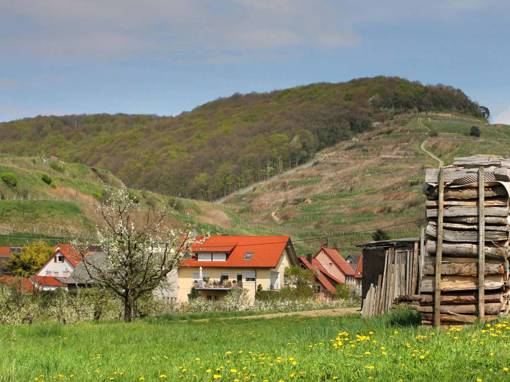 Ferienwohnung Graf Vogtsburg Kültér fotó